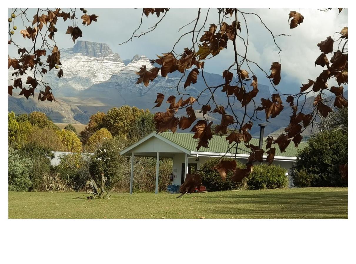 Swallowfield Cottage Champagne Valley Exterior photo